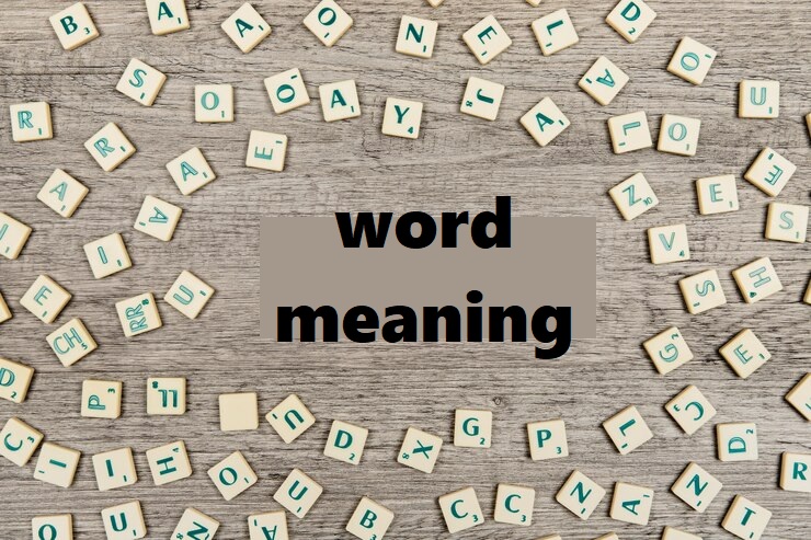 Word and Synonym Card Sort (teacher made) - Twinkl